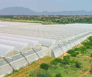 High-end Agricultural Film Production Solutions
