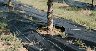 upload/1c/202508/blown-film-machine-a4.jpg